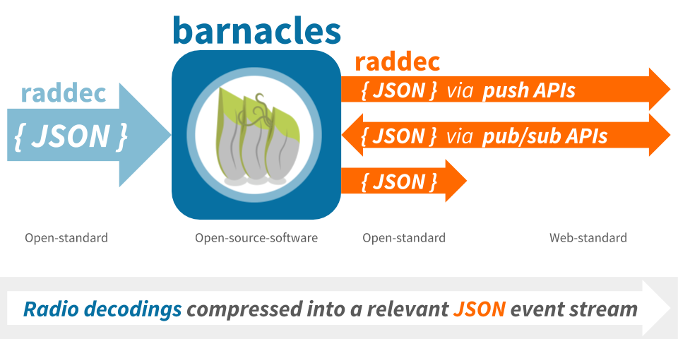 barnacles overview