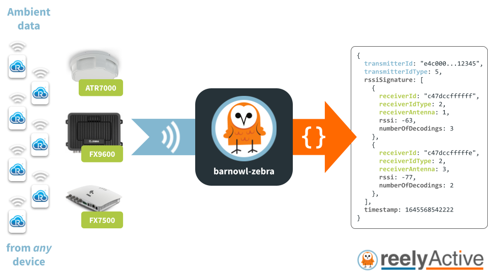 Overview of barnowl-zebra