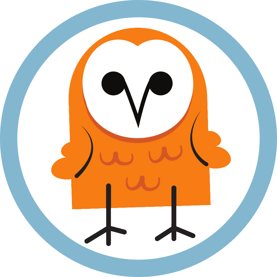 barnowl logo