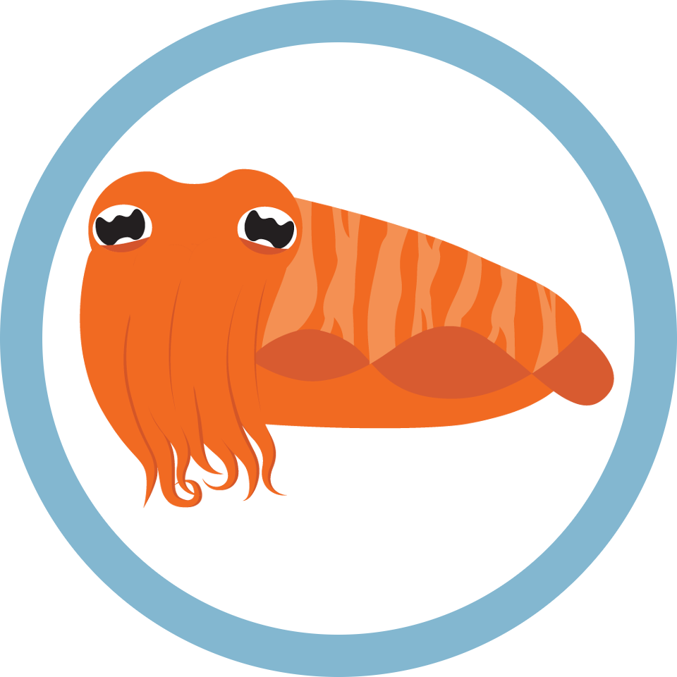 cuttlefish logo