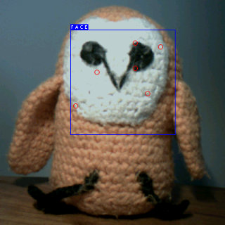 OpenMV blazeface_detector.py